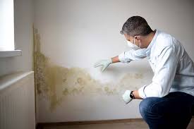 Forensic Mold Investigation in Tolono, IL